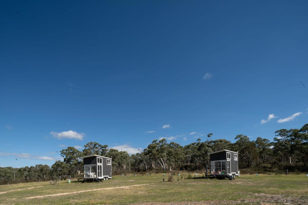 הוילה Braidwood Saddle Camp Tiny House By Tiny Away מראה חיצוני תמונה